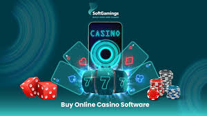 A Escalate with On the net Casinos: A Digital Betting Trend